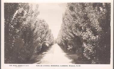 Postcard - Elliot Postcard Collection: Australia, 1895 - 1914