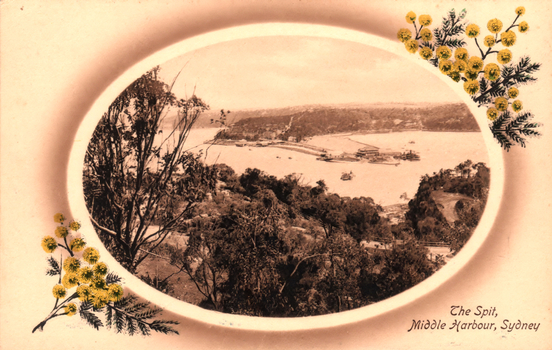 This coloured card shows a harbour and spit viewed from a wooded hillside: On the card is printed “The Spit, Middle Harbour, Sydney”.