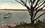 This coloured card shows a ferry on Sydney Harbour viewed past a large tree: On the card is printed “Glimpse from McMahon Point, Sydney Harbour”.