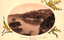 This coloured card shows a harbour with boats and a wooded residential shoreline: On the card is printed “Cremorne. Mosman Bay Sydney.”