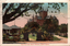 This coloured card shows Hyde Park with St. Mary’s Cathedral in the background: On the card is printed “Hyde Park & St. Mary’s Cathedral, Sydney N.S.W.”