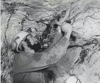 Photograph - AUSTIN COLLECTION: Wattle Gully Gold Mine, Chewton, 1987