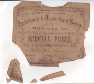 Document - Schaefer Collection: Special Prize 1884 Show, Schaefer, Matthaeus (Martin), 1884
