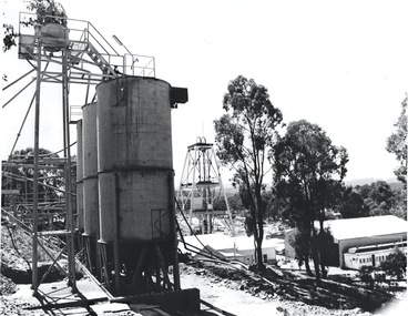Photograph - AUSTIN COLLECTION: Wattle Gully Gold Mine, Chewton, 1982