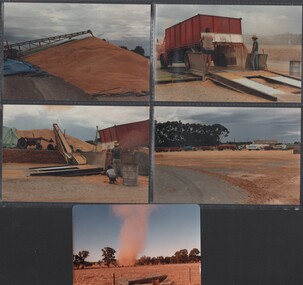 Photograph - William 'Bill' Theodore - five colour photographs of grain harvesting at Charlon in December 1983, December 1983