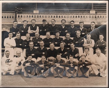 Document - William 'Bill' Theodore - Sandhurst Football Team - Premiers 1948, 1948