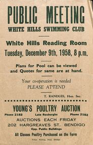 Ephemera - White Hills Swimming Pool - Notice of Public Meeting flyer, 1958