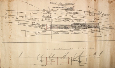 Plan - Monument Hill Consolidated Gold Mine