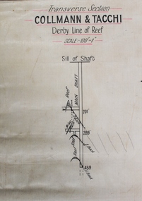 Map - Collmann and Tacchi, Unknown