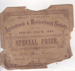 Document - Schaefer Collection: prize certificate, Schaefer, Matthaeus (Martin), 1878 - 1879