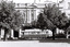 11147.3n Tram heading along McRae St towards Pall Mall in front of the School of Mines