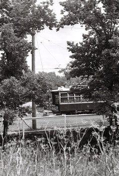 11147.4n Birney Car crossing the creek