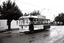 11147.5d Birney car decked out in advertising for the Bendigo Easter Fair heading into the depot in Tramway Avenue