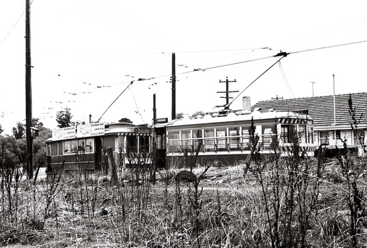 11147.7y Two trams at the North Bendigo Terminus