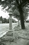 11147.7aa The Cemetery and horse hitching posts in Quarry Hill