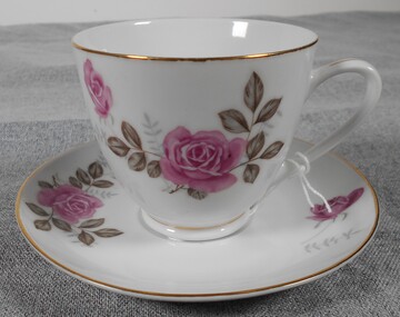 Domestic object - Cup and Saucer
