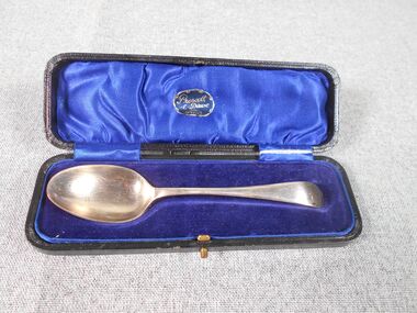 Accessory - 'Prescott and Dawe' silver plate spoon in box