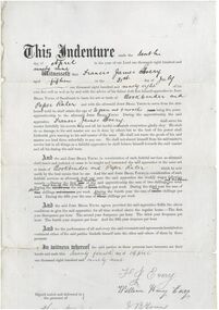 Certificate - Indenture between Francis Every and John Beall Young, book binder, for apprenticeship.  1899
