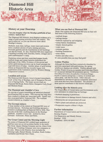 Document - Kangaroo Flat Gold Mine Collection: Diamond Hill Historic Area, Department of Conservation and Environment, April 1991