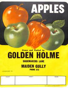 Ephemera - GOLDEN HOLME MAIDEN GULLY: CONSIGNMENT LABEL FOR APPLES, Unknown