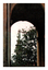 Colour Photo of "Boy on a Pillar".