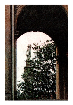 Colour Photo of "Boy on a Pillar".