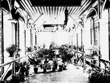 Black and White photo of the conservatory with pot plants