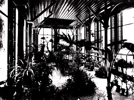 Black and White photo of the conservatory