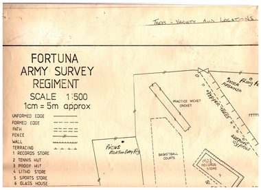 A large army plan of the Fortuna Grounds with prominent trees marked.