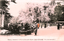 This coloured card shows people gathered beneath flowering cherry trees in a park: On the card is printed “Cherry blossoms in Maruyama park Kyoto translation is “Cherry blossoms in Maruyama Park—one of Kyoto’s hundred famous views.”