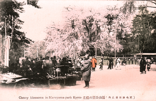 This coloured card shows people gathered beneath flowering cherry trees in a park: On the card is printed “Cherry blossoms in Maruyama park Kyoto translation is “Cherry blossoms in Maruyama Park—one of Kyoto’s hundred famous views.”