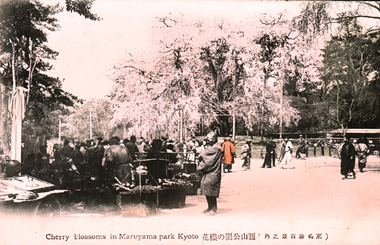 This coloured card shows people gathered beneath flowering cherry trees in a park: On the card is printed “Cherry blossoms in Maruyama park Kyoto translation is “Cherry blossoms in Maruyama Park—one of Kyoto’s hundred famous views.”