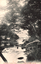 This black-and-white card shows a tree-lined river with footbridges and buildings along its banks: On the card is printed “Ojiri River Chuzenji, Nikko. The Japanese is printed in the older right-to-left direction. Read normally, 日光中禪寺大尻川 translates as “Ōjiri River at Chūzenji, Nikkō.”