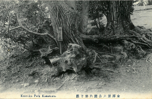 This black-and-white card shows a rock formation beneath large trees in a park. On the card is printed “Kenroku Park Kanazawa”. The Japanese is printed from right to left and reads 金澤兼六公園内獅子巖, translating as “Lion Rock in Kenroku Park, Kanazawa.” The sign on the tree reads vertically: 獅子巖 — “Lion Rock” (Shishi-iwa).