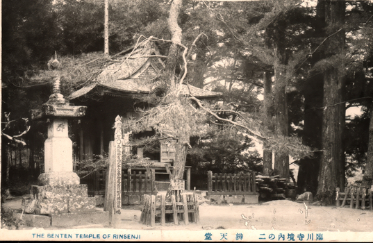 This black-and-white card shows a small temple building among trees. On the card is printed “THE BENTEN TEMPLE OF RINSENJI”. The Japanese is printed from right to left and reads 臨川寺境内の辨天堂, translating as “Benten Hall in the grounds of Rinsenji Temple.” The clearest wording on the vertical sign appears to be: 大開帳紀念 — “Commemoration of the grand unveiling of a sacred image” It also includes: 五月廿四日 — “24 May” The remaining characters are too blurred and partly obscured to transcribe reliably.
