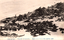 This black-and-white card shows a large colony of fur seals gathered on a shoreline. On the card is printed “Otsutose of Kabafuto.”, The principal Japanese caption is printed right-to-left. Read in modern order, it is: 樺太 海豹島に於けるオットセイ一群 English translation: “A group of fur seals on Seal Island, Karafuto.” The smaller Japanese wording reads:（大泊 岩村支店發行）English translation: “Published by the Iwamura Branch, Ōdomari.”