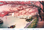 This coloured card shows cherry blossom trees over a riverside or lakeside scene with boats and a landing. On the card is printed “Cherry-blossom in Tokyo” The Japanese translates as:
向島の櫻花 — “Cherry blossoms at Mukōjima”
東京の櫻 — “Cherry blossoms of Tokyo”