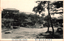 This black-and-white card shows a landscaped park with trees, rocks and buildings on a hillside. On the card is printed “THE KINEN PARK, NAGANO.” and “長野市紀念公園の景”. The Japanese 長野市紀念公園の景 translates as “View of Nagano City Memorial Park.”
