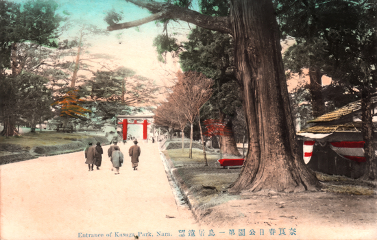 This coloured card shows a broad park approach with a large tree, pedestrians and a torii gate in the distance. On the card is printed “Entrance of Kasuga Park, Nara.” and “奈良春日公園第一鳥居遠望”. The Japanese translates as “Distant view of the First Torii of Kasuga Park, Nara.”