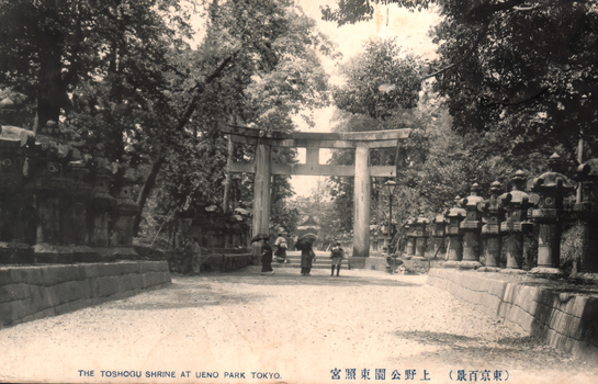 This black-and-white card shows a torii gate on a tree-lined approach with rows of stone lanterns and several pedestrians. On the card is printed “THE TOSHOGU SHRINE AT UENO PARK TOKYO.”, “上野公園東照宮” and “（東京百景）”. The Japanese translates as:
上野公園東照宮 — “Tōshōgū Shrine in Ueno Park”
東京百景 — “Hundred Views of Tokyo”