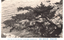 This black-and-white card shows a pine tree growing over rocks beside the water. On the card is printed “PINE-TREE ON THE ROCKSAT TATETAMA, HAMANA-LALE.”, “舘山奇巌の松樹” and “（濱名湖名勝）”. The Japanese translates as:
舘山奇巌の松樹 — “Pine tree on the unusual rocks at Tateyama”
濱名湖名勝 — “Scenic sights of Lake Hamana”