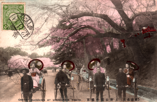 This coloured card shows rickshaws carrying women beneath flowering cherry trees. On the card is printed “CHERRY BLOSSOMS AT UYENO-PARK TOKYO.”, “上野公園の櫻花” and “（東京名所）”. The Japanese translates as:
上野公園の櫻花 — “Cherry blossoms in Ueno Park”
東京名所 — “Famous places of Tokyo”