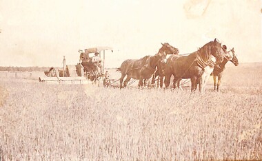 Photograph, Jack Lockett Collection: Family Photographs, 1890s-1960s
