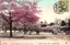 This coloured card shows cherry trees in full blossom in Ueno Park, with visitors and a pavilion. On the card is printed “(T147) Cherry Blossoms in Ueno Park, Tokyo.” and “（東京百景）上野公園の櫻花”. Japanese translation:
（東京百景）上野公園の櫻花 — “(One Hundred Views of Tokyo) Cherry Blossoms in Ueno Park.”
東京百景 — “One Hundred Views of Tokyo”
上野公園 — Ueno Park
櫻花 — cherry blossoms; modern spelling 桜花