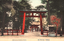 This coloured card shows a large torii and shrine buildings within a wooded shrine precinct at Kyoto. On the card is printed “Shimokamo Shrine at Kyoto.” and “京都下加茂神社”. Japanese translation:
京都下加茂神社 — “Shimokamo Shrine, Kyoto.”
京都 — Kyoto
下加茂神社 — Shimokamo Shrine