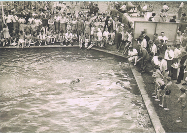 Photograph - In The Swim Collection: Bendigo East Swimming Pool, Undated, but probably during 1950's