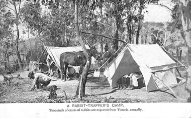 Postcard - A Rabbit Trapper's Camp, 1910
