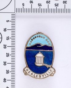 Souvenir lapel pin/brooch Maroondah Dam, 1960s/70s