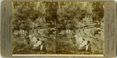 Photograph, Rational Dress Picnic, Fernshaw, Vic Watt's River, c. 1895
