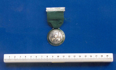 Medal - British Medical Association President of Gynaecology and Obstetrics medal associated with Professor F.J. Browne, 1938